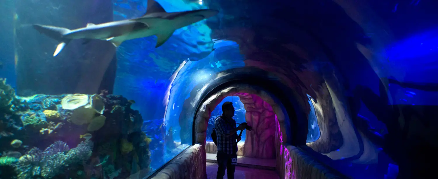 Acuario de Veracruz