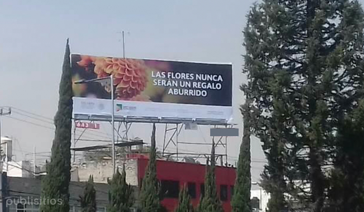 Anuncio Espectacular Flores Sagarpa